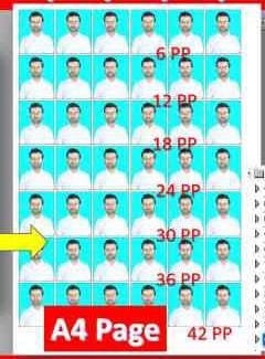 Passport Size Photo Sample